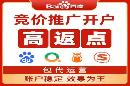 经典案例：专业SEM托管如何实现ROI最大化
